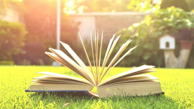 劳动力需求的交叉工资弹性为正值，表示一类劳动力的工资率上升引起另一类劳动力需求的增加，那么，这两类劳动力称为( ) 。