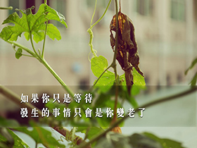 固定资产投资与流动资产相比，其明显特性是( )