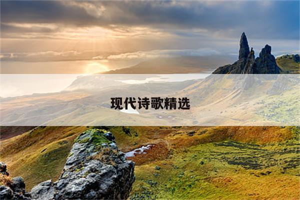 社会主义初级阶段公有制经济的主要实现形式是