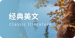 在我国放射性污染防治标准中，涉及放射工作、辐射应用、放射性物质的主要标准是(　　　)