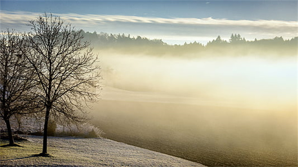 糖尿病治疗应坚持______、______、_____及个体化原则，其治疗目的在于______，控制血糖，消除症状，减少和延缓并